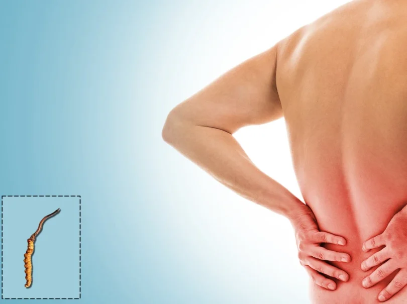 mydetox-gano-excel-cordyceps-ofeli-pathiseis-nefra