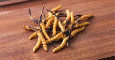 mydetox-gano-excel-cordyceps-thaymatoyrgos-mykhtas-ygeia