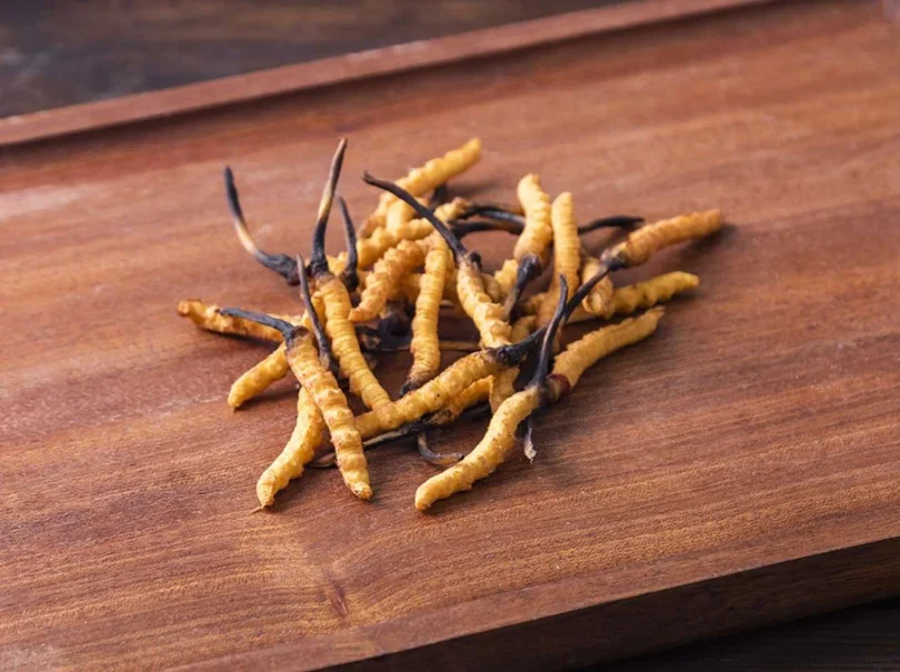 mydetox-gano-excel-cordyceps-thaymatoyrgos-mykhtas-ygeia