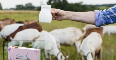 mydetox-gano-excel-ofeli-galaktos-ygeia-dermatos