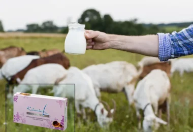 mydetox-gano-excel-ofeli-galaktos-ygeia-dermatos