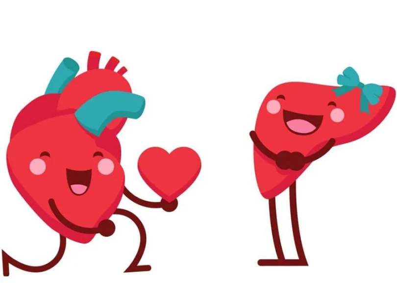 mydetox-gano-excel-ganoderma-fysikh-yposthriksh-sykoti-kardia