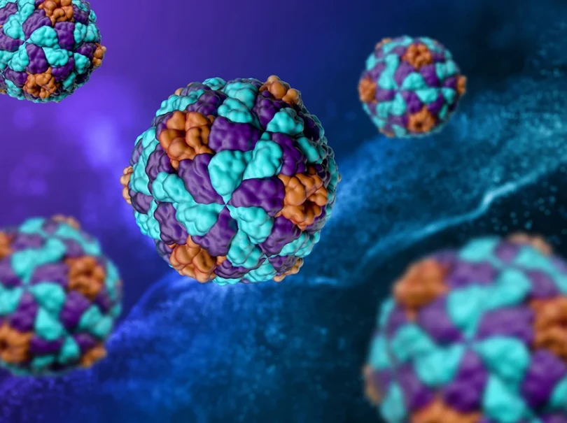 mydetox-gano-excel-ganoderma-lucidum-idiothtes-hpatitida