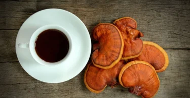 mydetox-gano-excel-kafes-arabica-ganoderma-lucidum-peptiko-systhma