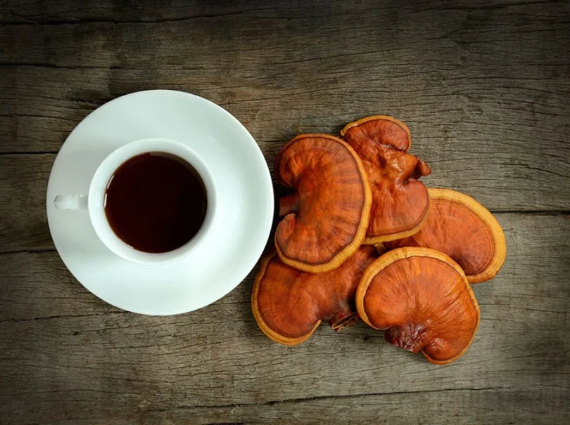 mydetox-gano-excel-kafes-arabica-ganoderma-lucidum-peptiko-systhma