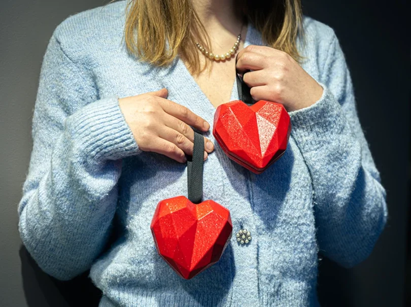 mydetox-gano-excel-epidrash-ganoderma-diaxeirish-stefaniaias-nosou