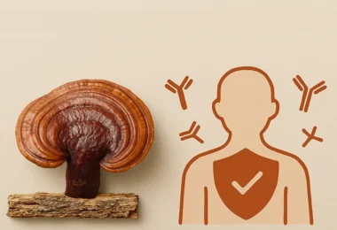 mydetox-gano-excel-ganoderma-erythimatwdhs-lykos-rythmish-anosopoihtikoy