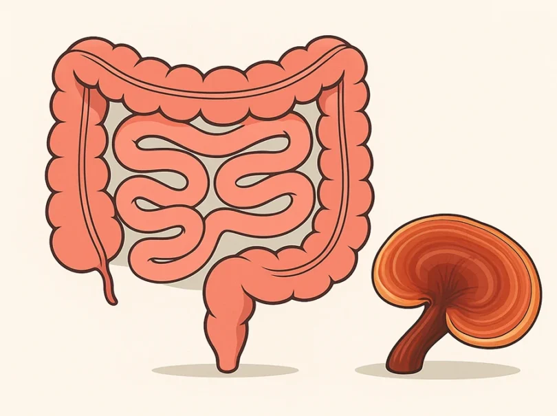 mydetox-gano-excel-ganoderma-lucidum-syndromo-eyerethistoy-enteroy