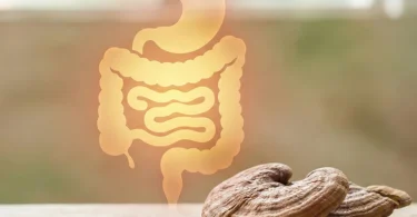 mydetox-gano-excel-ganoderma-lucidum-yposthrizei-mikrobiwma-enterou