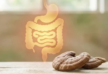 mydetox-gano-excel-ganoderma-lucidum-yposthrizei-mikrobiwma-enterou